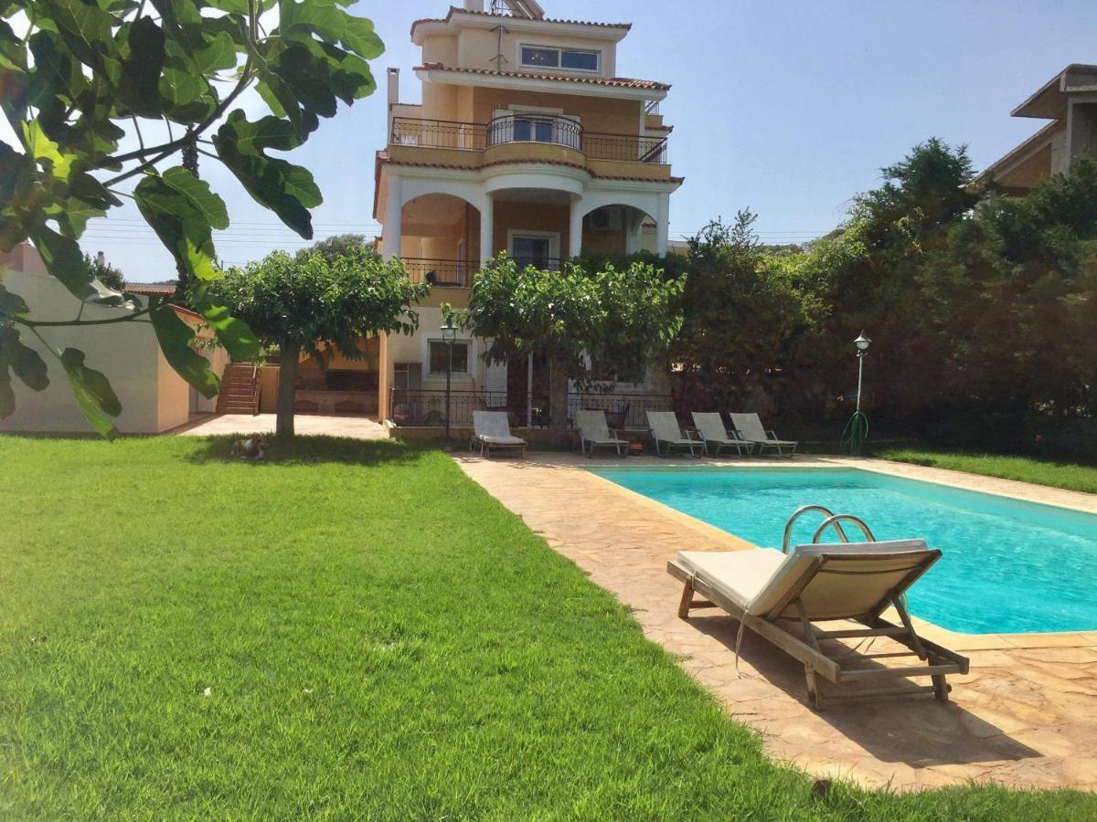 Relaxing Villa With Swimming Pool And Garden Agios Georgios  Екстериор снимка