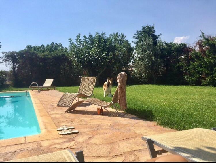 Relaxing Villa With Swimming Pool And Garden Agios Georgios  Екстериор снимка