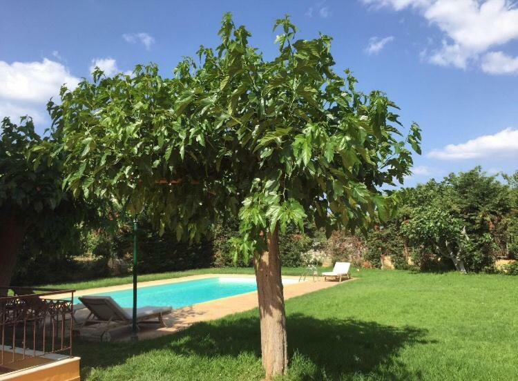 Relaxing Villa With Swimming Pool And Garden Agios Georgios  Екстериор снимка